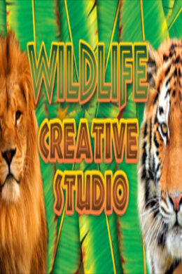 Wildlife Creative Studio Steam Key GLOBAL