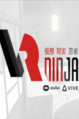 VRNinja VR Steam Key GLOBAL