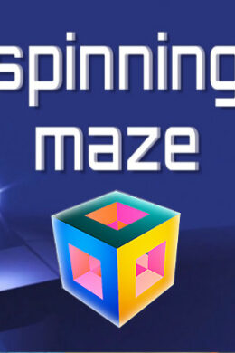 Spinning Maze Steam Key GLOBAL