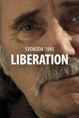 Svoboda 1945: Liberation Steam CD Key