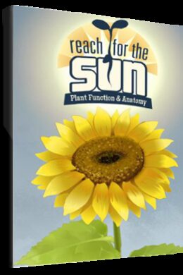 Reach for the Sun Steam Key GLOBAL