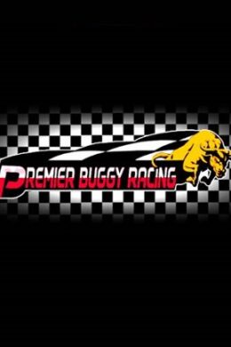 Premier Buggy Racing Tour Steam Key GLOBAL