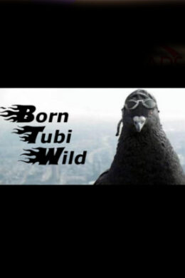 Born Tubi Wild Steam Key GLOBAL