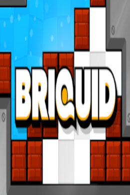 Briquid - Steam - Key GLOBAL