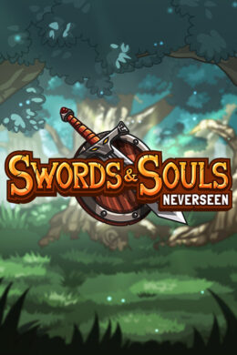 Swords & Souls: Neverseen Steam CD Key