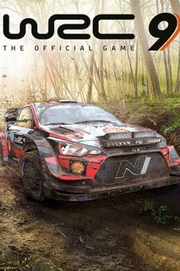 WRC 9 FIA World Rally Championship (PC) - Steam Key - GLOBAL