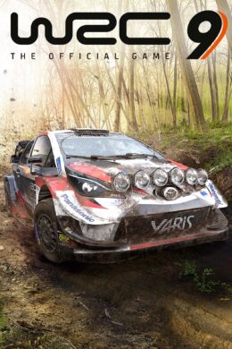 WRC 9 FIA World Rally Championship Steam CD Key