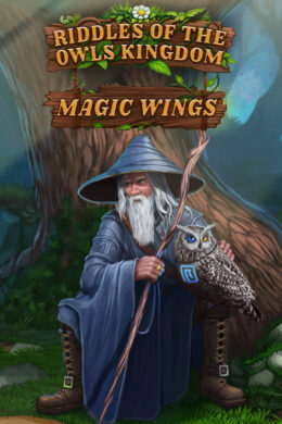 Riddles of the Owls' Kingdom. Magic Wings Steam CD Key