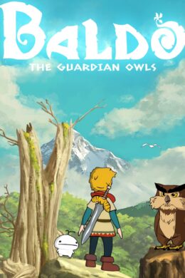 Baldo: The Guardian Owls Steam CD Key