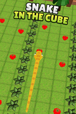 Snake In The Cube Steam CD Key