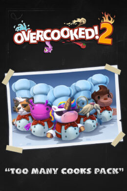 Overcooked! 2 + Too Many Cooks Pack DLC Bundle Steam CD Key