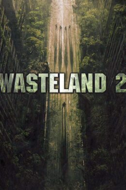 Wasteland 2 + Wasteland 2 Director's Cut Steam CD Key