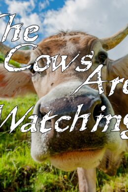 The Cows Are Watching Steam CD Key