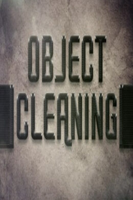 Object "Cleaning" Steam Key GLOBAL