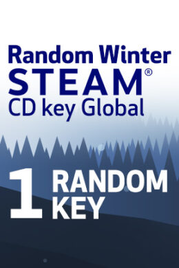 Random Winter 1 Key (PC) - Steam Key - GLOBAL