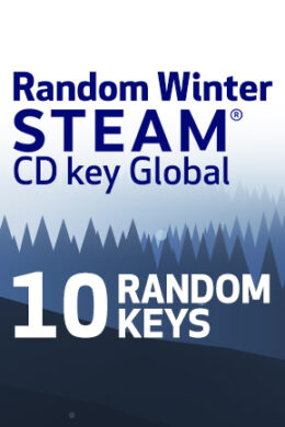 Random Winter 10 Keys (PC) - Steam Key - GLOBAL