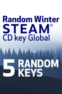 Random Winter 5 Keys (PC) - Steam Key - GLOBAL