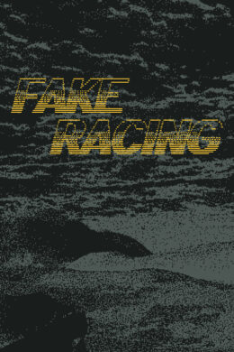 Fake Racing Steam CD Key