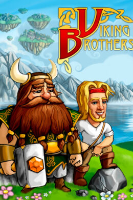 Viking Brothers Steam CD Key