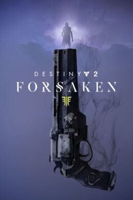 Destiny 2 - Forsaken Pack Steam CD Key