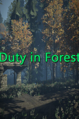 Duty in Forest Steam CD Key