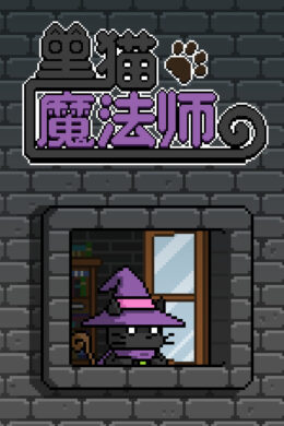 The Black Cat Magician Steam CD Key