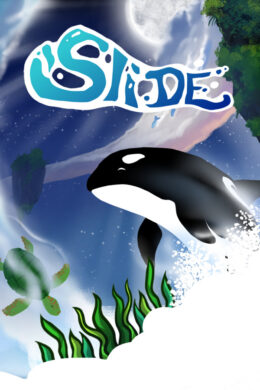 Slide - Animal Race Steam CD Key