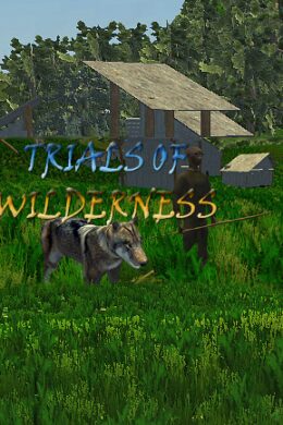 Trials of Wilderness Steam Key GLOBAL