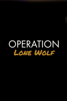 Operation Lone Wolf Steam Key GLOBAL