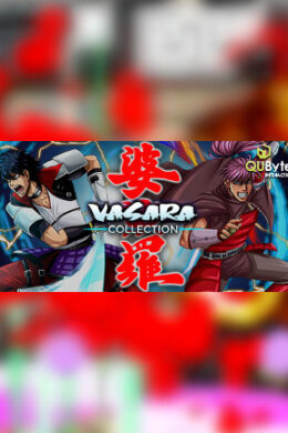 VASARA Collection Steam Key GLOBAL