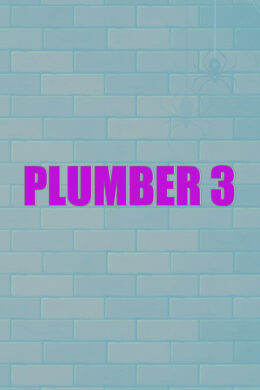 Plumber 3 Steam CD Key