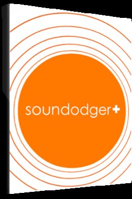 Soundodger Steam Key GLOBAL