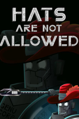 Hats Are Not Allowed Steam CD Key