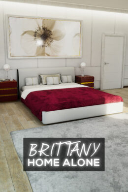 Brittany Home Alone Steam CD Key