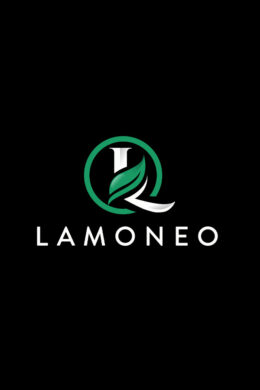 Lamoneo Steam CD Key