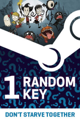 Try To Get Don't Starve Together - Random 1 Key (PC) - Steam Key - GLOBAL