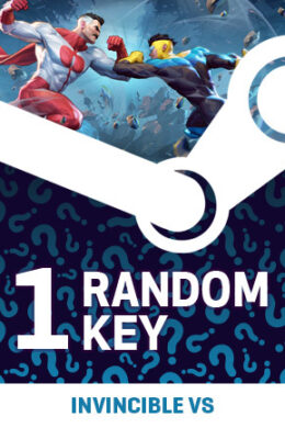 Try To Get Invincible VS - Random 1 Key (PC) - Steam Key - GLOBAL