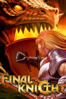 Final Knight (PC) - Steam Key - GLOBAL