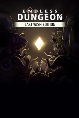 ENDLESS Dungeon | Last Wish Edition (PC) - Steam Key - GLOBAL