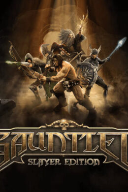 Gauntlet Slayer Edition + 12 DLC (PC) - Steam Key - GLOBAL