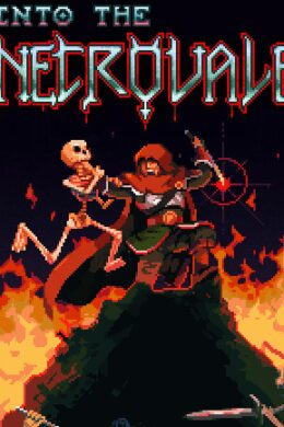 Into the Necrovale (PC) - Steam Key - GLOBAL