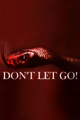 Don't Let Go! VR Steam Key GLOBAL