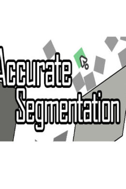 Accurate Segmentation Steam Key GLOBAL